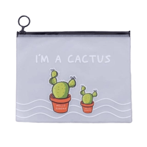 trousse de toilette transparente cactus