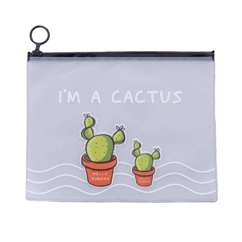 trousse de toilette transparente cactus