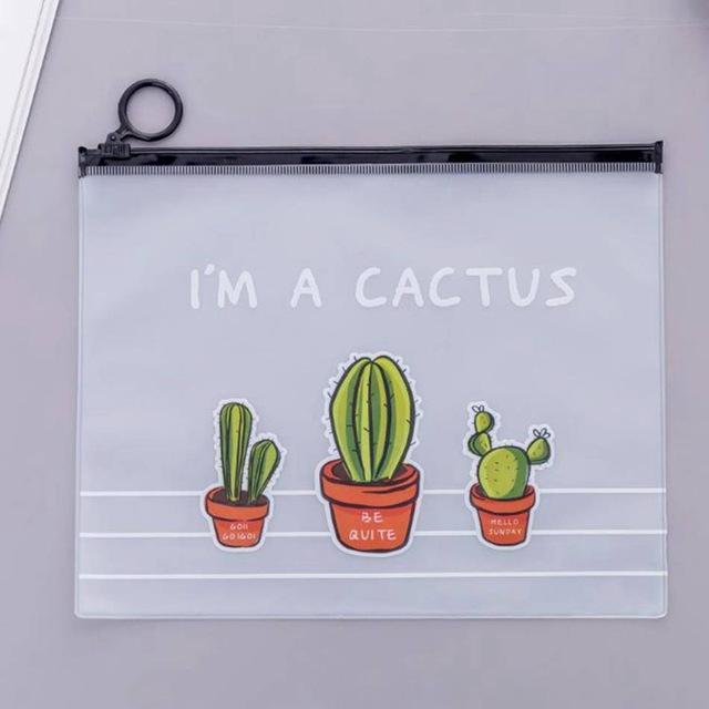 accessoire de voyage transparent cactus